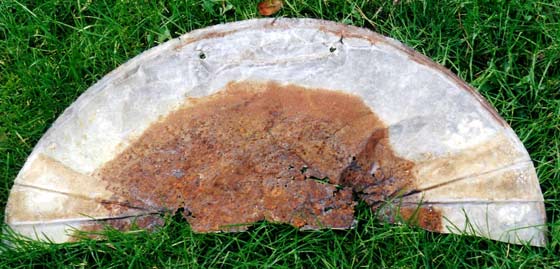 Rusty wheelbarrow, stage 3