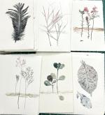 images of plants and a feather