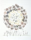 image of botanicals in circular format
