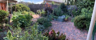 panoramic of kitchen garden