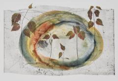 semi circular colour with plant images 