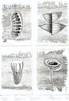 Organic Threads: 19 x 14 cm etching, 4 plates