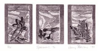 Specimen Series: etching and aquatint 