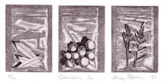 Specimen Series etching and aquatint 