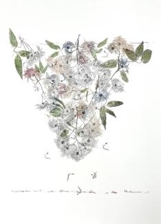 image with fluffy seeds 