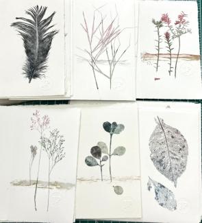 images of plants and a feather