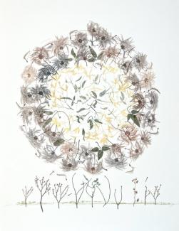 image of botanicals in circular format