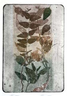 image with leaves, on grey background.