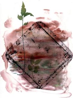 diamond shape covered with colour wash