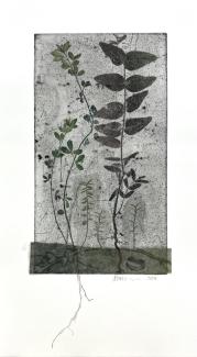 image with plants on grey background