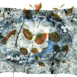 bluish image with botanicals