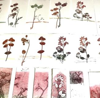  prints from plants