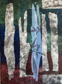 abstract shapes, botanical fragments