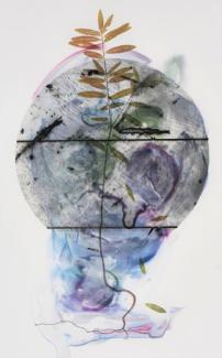 circle in background, botanics and painterly colours