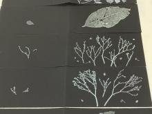 greeting cards on black paper