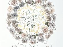 image of botanicals in circular format