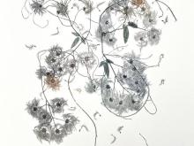 image of botanicals in spiraling format