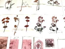  prints from plants